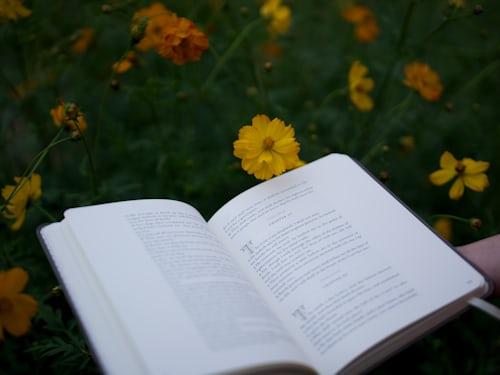 Short Stories