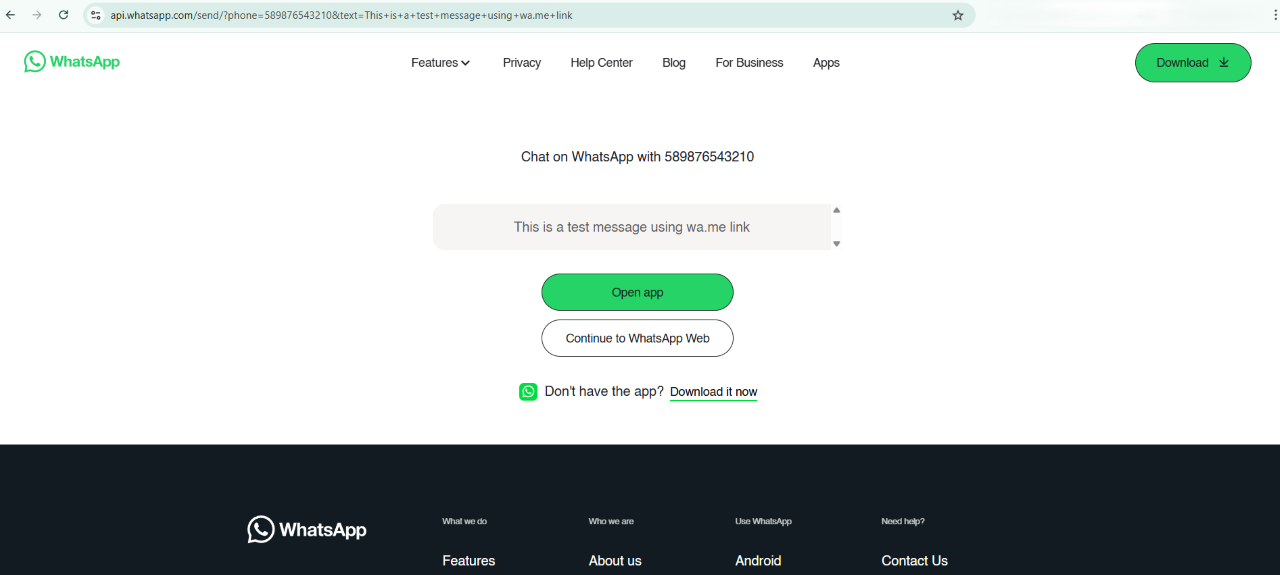 wa.me Chat Screen